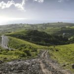 How to whitewash colonial pain and trauma