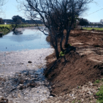 Why the River Club development is destructive