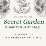 Secret Garden charity plant sale