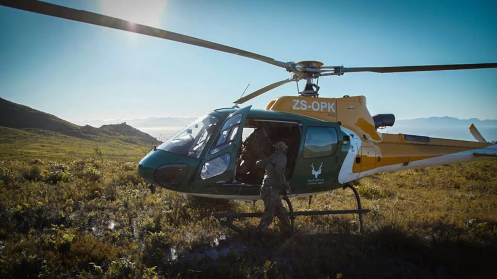 In the heart of conservation: TMNP’s all-women team leads the charge against environmental crimes