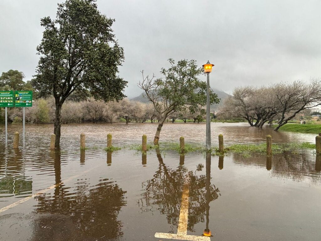 Friends of the Liesbeek appreciation!