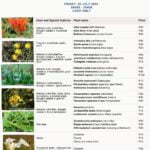 UWC Nature Reserve Unit plant sale