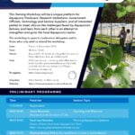 Aquaponics training workshop
