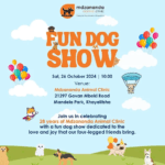 Come celebrate 28 years of serving the Khayelitsha community with our Fun Dog Show