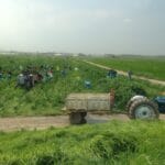 PHA Campaign Press Release – URGENT 22 October 2024