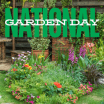 Strarke Ayres – what to do in October