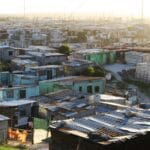 Cape Town is losing its trees