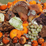 Tips to tackle food waste this festive