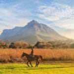 Enjoy these wonderful shots of Obs by the talented Fernando Tolosana