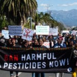End the Double Standards: Ban Deadly Pesticides Already Banned in Europe