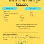 Oude Molen food garden