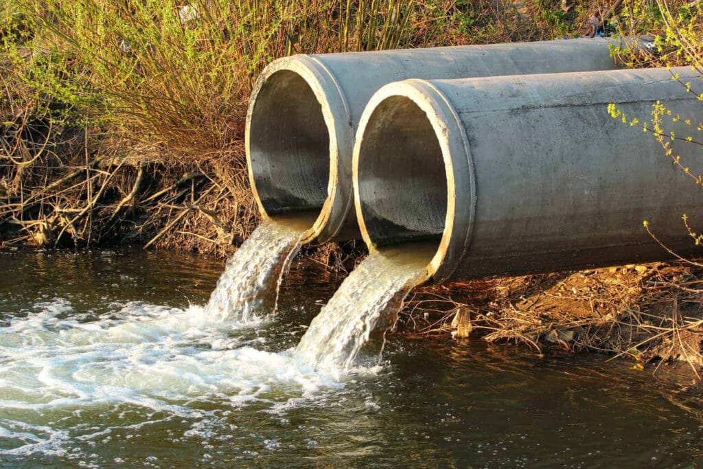 Dirty water… and antics: Over 50% of municipalities face criminal action over sewage crisis