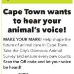 DOMESTIC ANIMAL SURVEY: CAPE TOWN, Let’s Talk Animals!