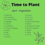 April veggies to plant