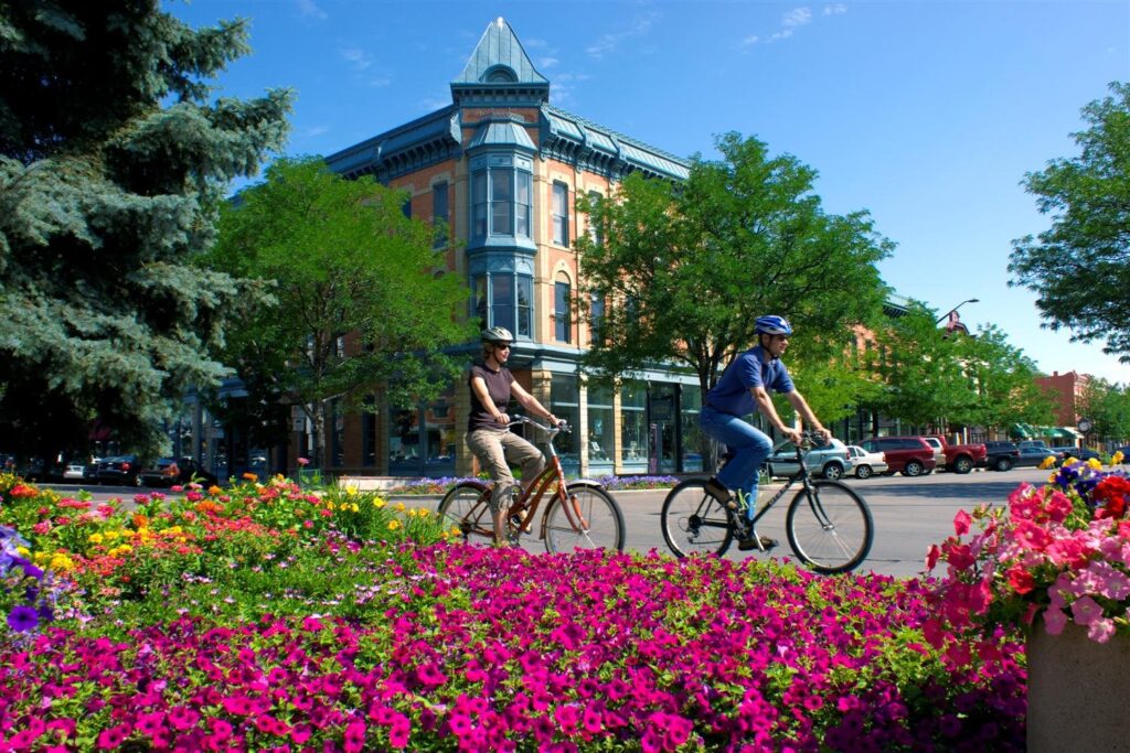 Civic Assemblies in Action: Lessons on Civic Engagement from Fort Collins