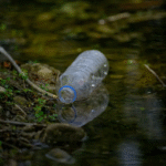 Health fears mount at UN treaty talks: ‘Plastics are everywhere. We can’t protect ourselves’