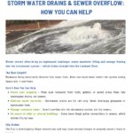 Storm water drains & sewer overflow