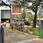 11 quirky heritage museums worth a road trip