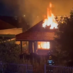 Farewell, Number Five